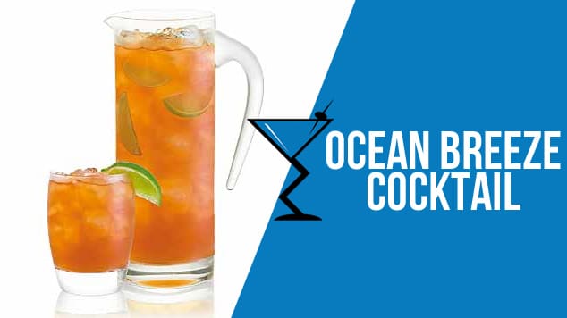 Drink Lab Cocktail Recipes