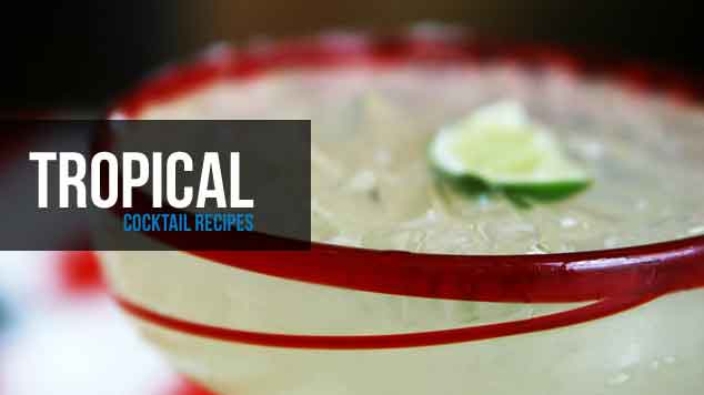 Drink Lab Cocktail Recipes