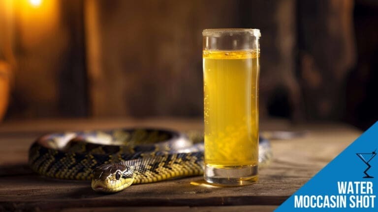 Water Moccasin Shot