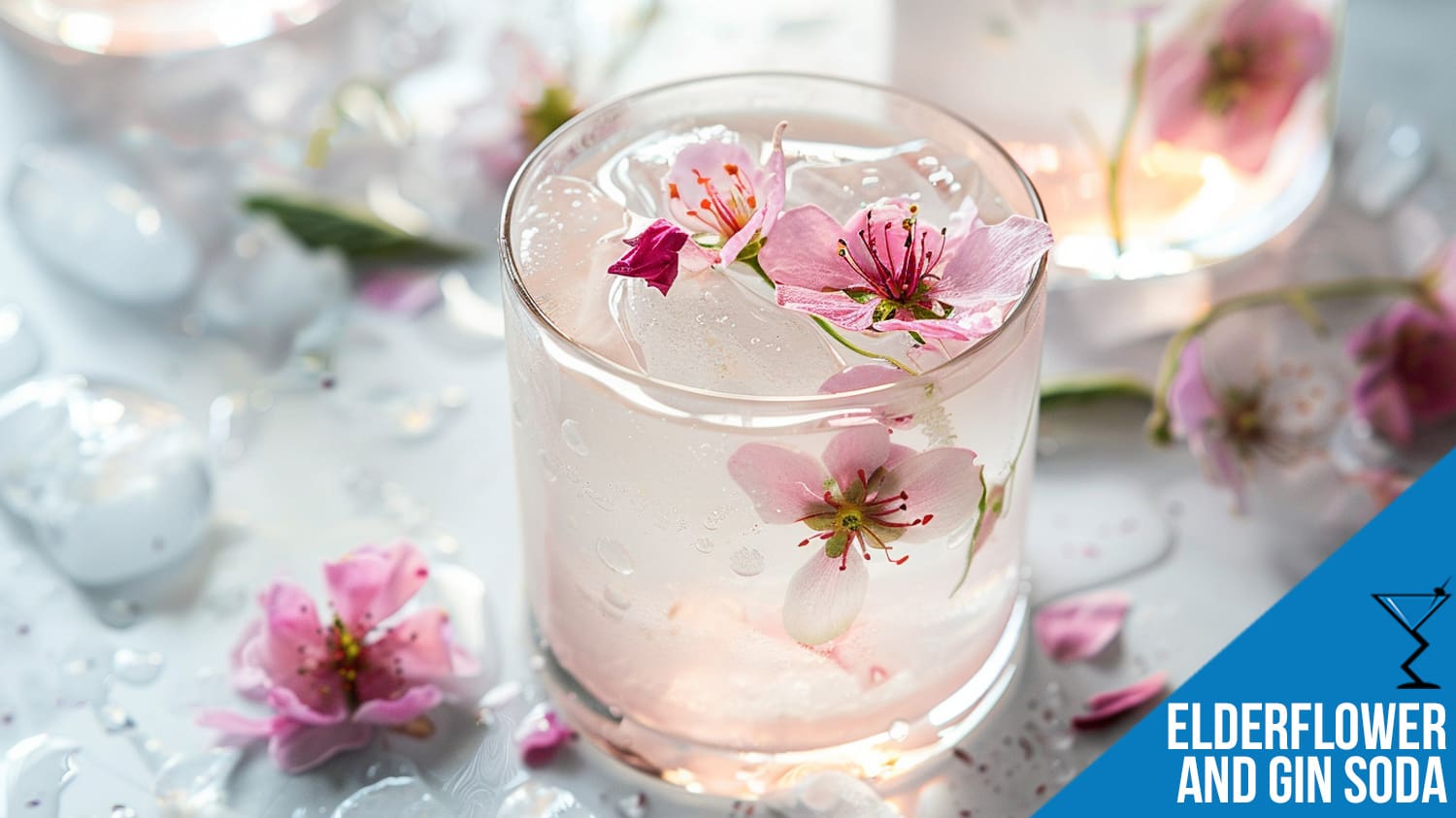 Elderflower and Gin Soda